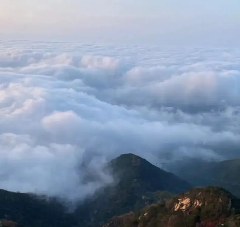 泰山雲海日出