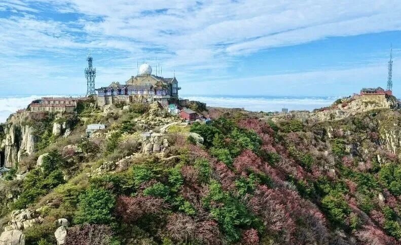 登泰山