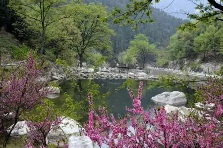 泰山桃花峪記遊