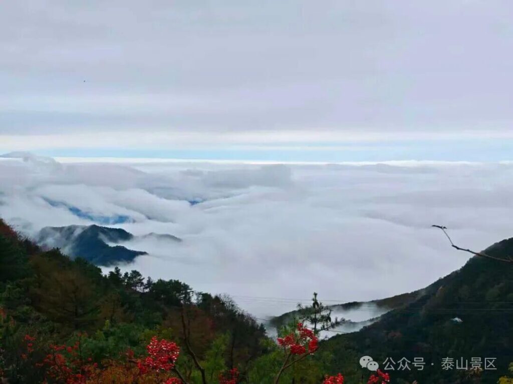 泰山雲海