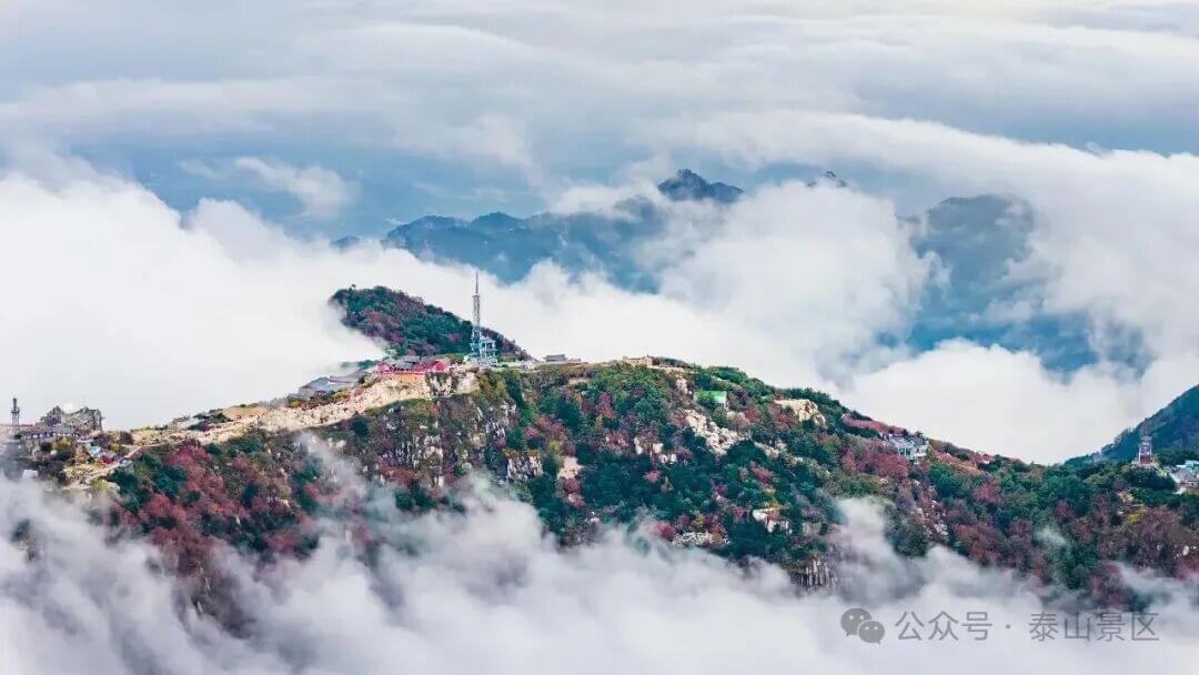 秋登泰山