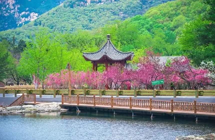 桃花峪