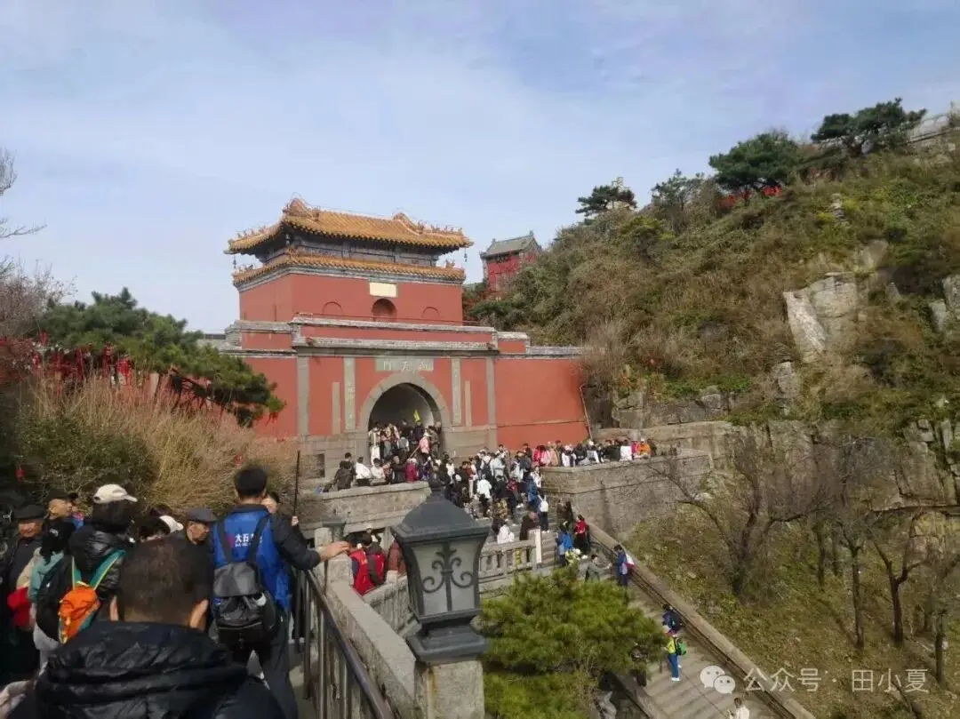 懶人爬泰山攻略：4小時輕鬆登頂路線與費用大全