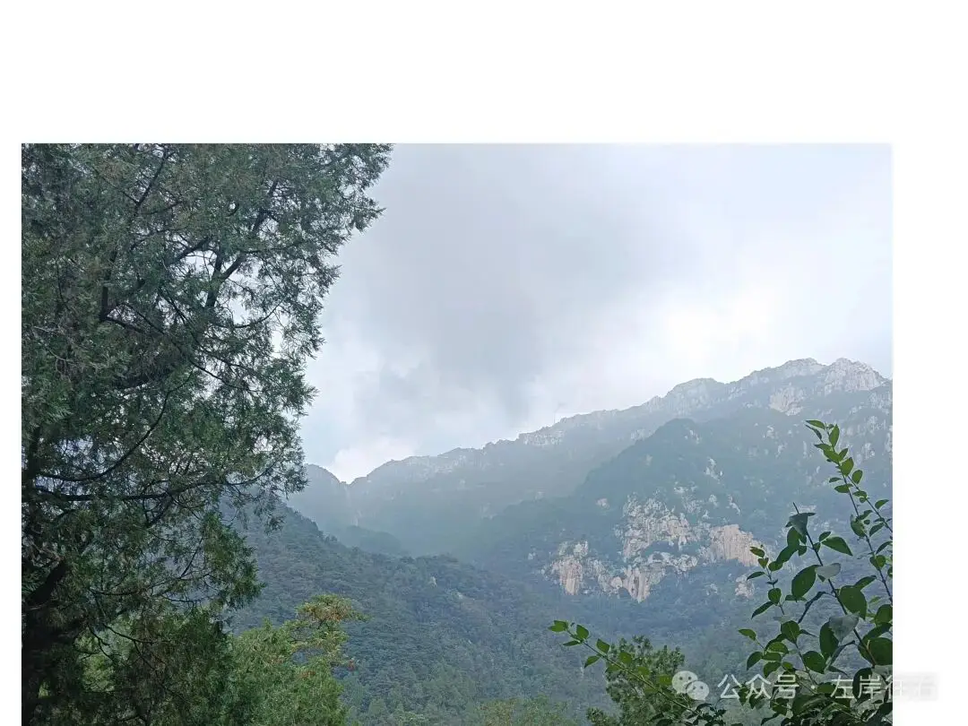 2026泰山自駕攻略：交通住宿登山必看實用心得